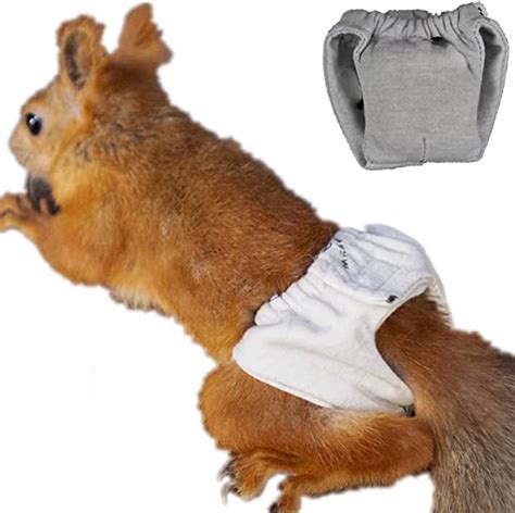 squirrel diaper|More.